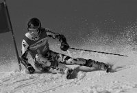 546 - GRAND SLALOM 10991 - GANGLBAUER KURT - austria <div